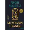 Mumyanın Uyanışı