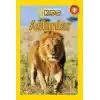 National Geographic Kids - Aslanlar