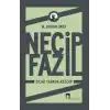 Necip Fazıl: Sıcak Yarada Kezzap
