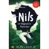 Nils ve Olağanüstü Maceraları