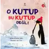 O Kutup Bu Kutup Değil!