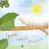 Oluşum Hikayeleri - İpek nasıl oluşur?