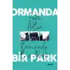 Ormanda Bir Park