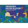 Ormanda Neler Oluyor?
