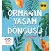 Ormanın Yaşam Döngüsü