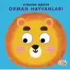 Oynayan Gözler Orman Hayvanları