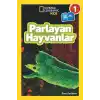 Parlayan Hayvanlar - Seviye 1
