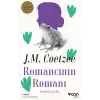 Romancının Romanı