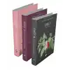 Rüzgârın Kızı Emily Serisi (3 Kitap)