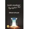 Saklambaç Oynayalım mı?