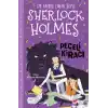 Sherlock Holmes - Peçeli Kiracı