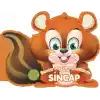 Sincap - Benim Hayvan Dostlarım (Ciltli)