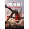 Spider-Man: Öfkeli Kanatlar