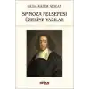 Spinoza Felsefesi Üzerine Yazılar
