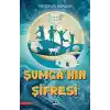 Şumga’nın Şifresi