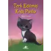 Terk Edilmiş Kedi Puslu