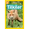 Tilkiler - Seviye 2