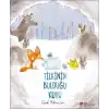 Tilkinin Bulduğu Kutu