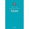 Towards Understanding ISLAM