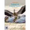 Türkiye’nin Göçmen Kuşları