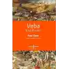 Veba - Kısa Bir Giriş