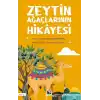 Zeytin Ağaçlarının Hikâyesi