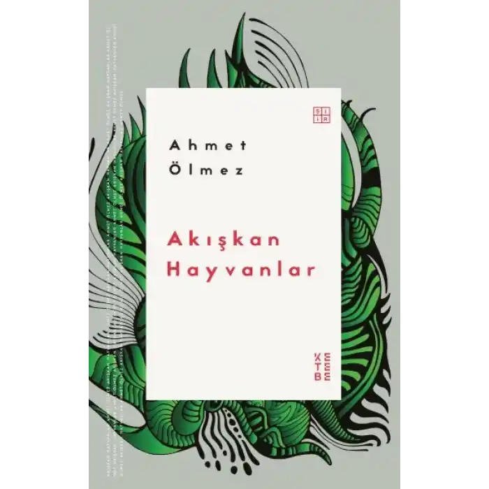 Akışkan Hayvanlar
