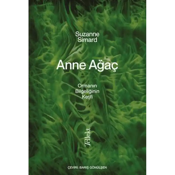 Anne Ağaç
