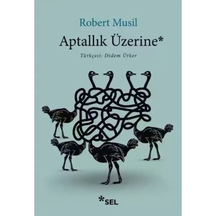 Aptallık Üzerine