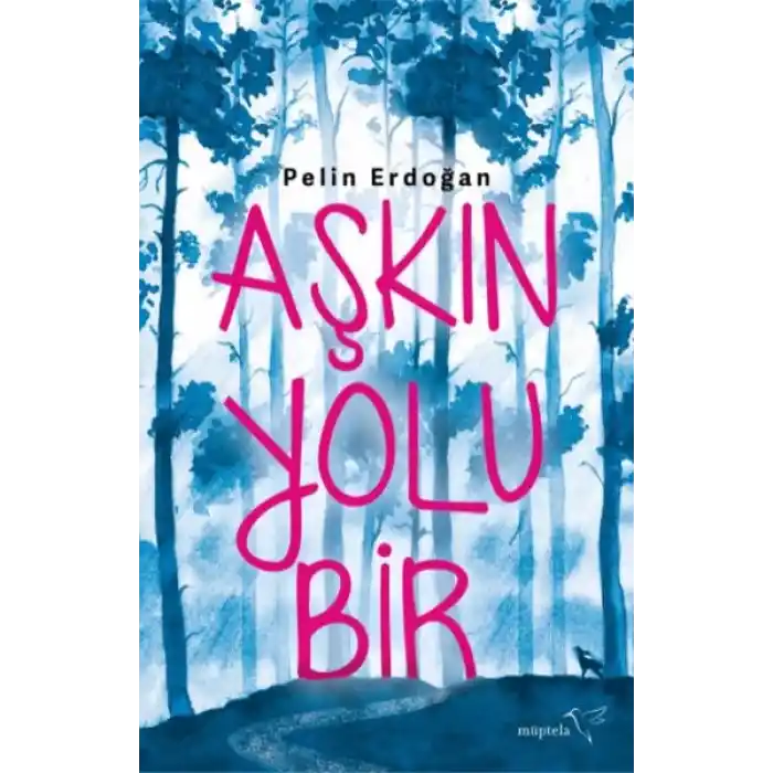 Aşkın Yolu Bir