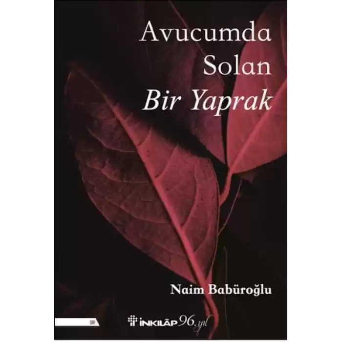 Avucumda Solan Bir Yaprak