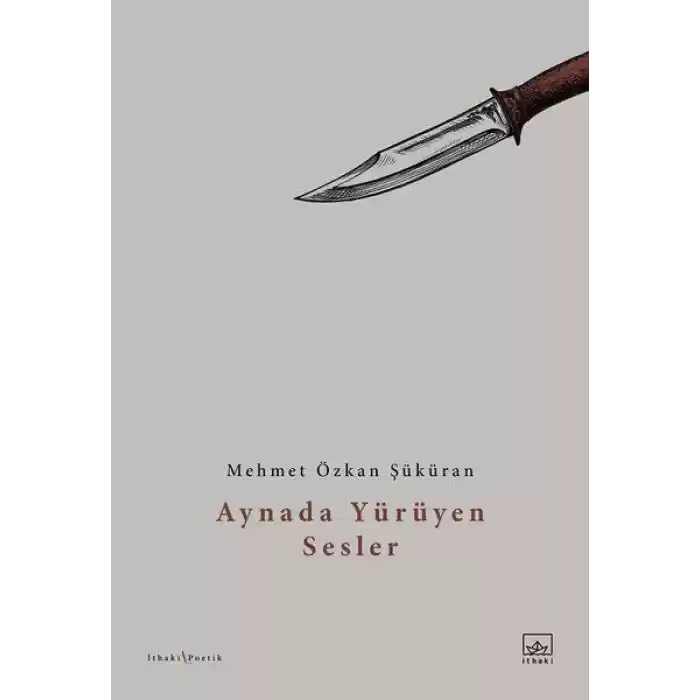 Aynada Yürüyen Sesler
