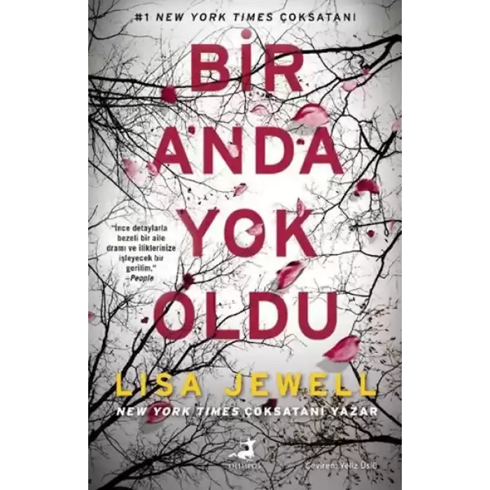 Bir Anda Yok Oldu