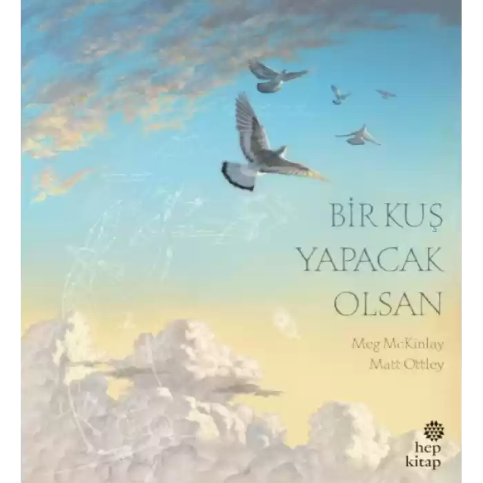 Bir Kuş Yapacak Olsan