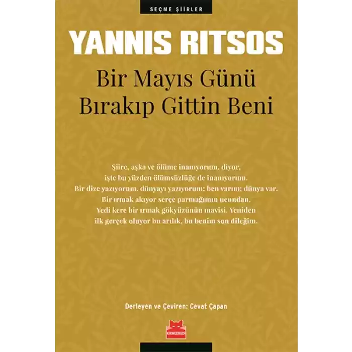 Bir Mayıs Günü Bırakıp Gittin Beni