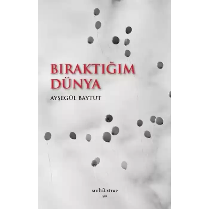 Bıraktığım Dünya