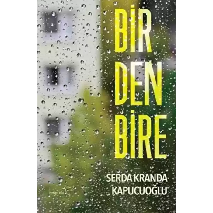 Birdenbire