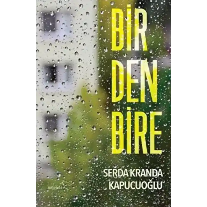 Birdenbire