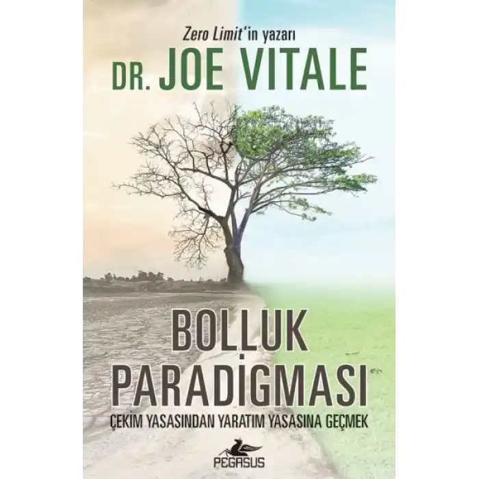 Bolluk Paradigması