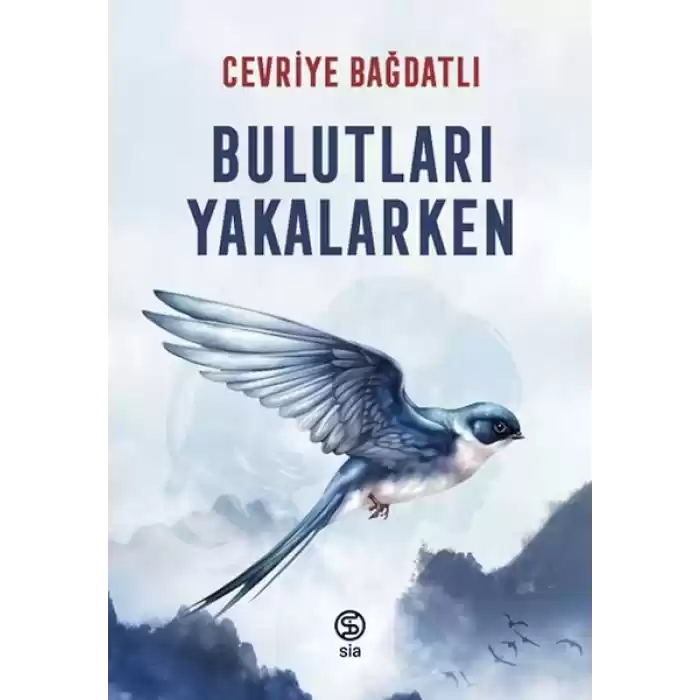 Bulutları Yakalarken