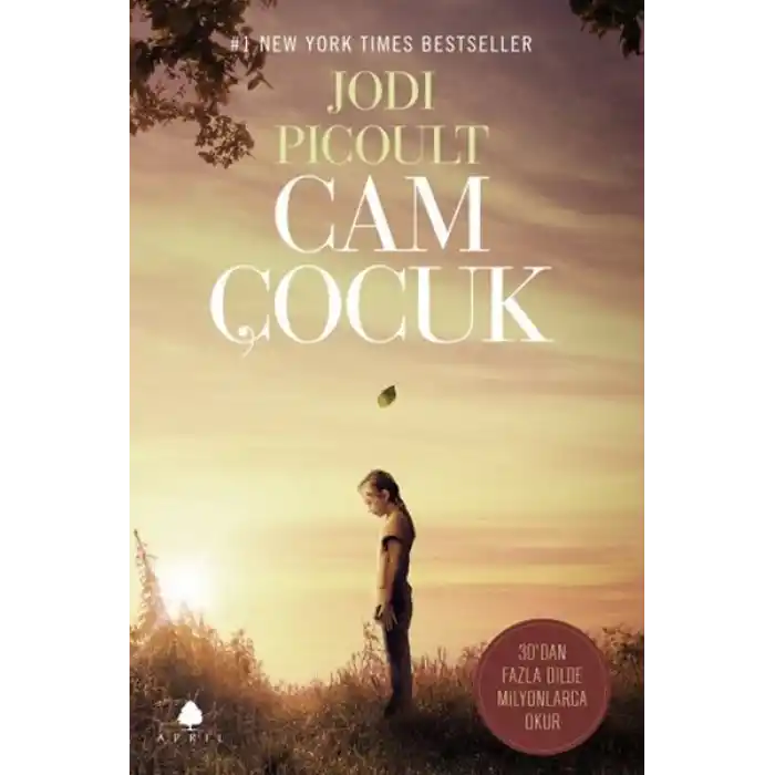 Cam Çocuk