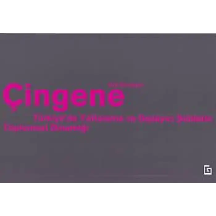 Çingene - Türkiyede Yaftalama ve Dışlayıcı Şiddetin Toplumsal Dinamiği