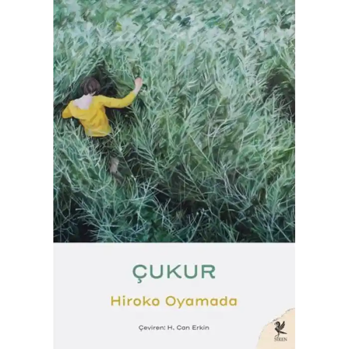 Çukur