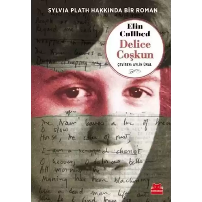 Delice Coşkun - Sylvia Plath Hakkında Bir Roman