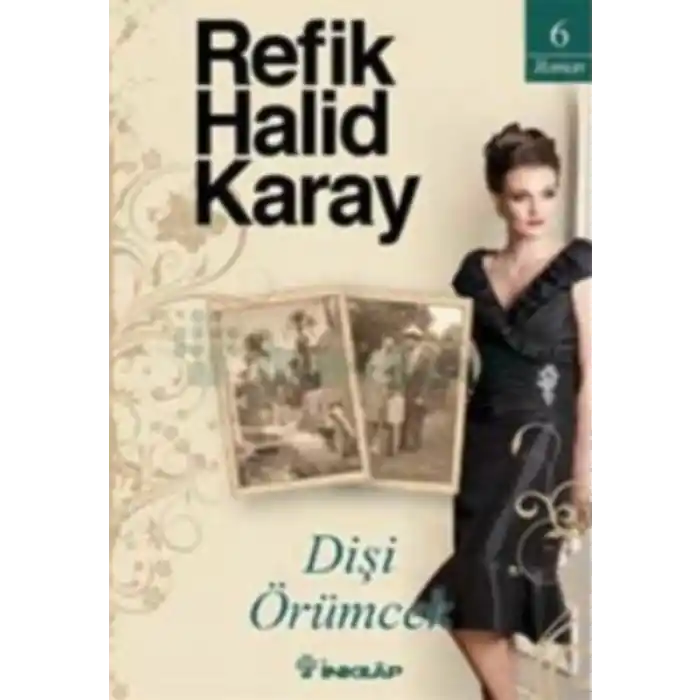 Dişi Örümcek