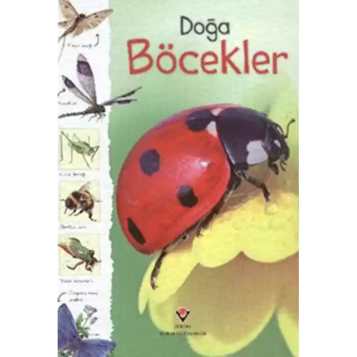 Doğa - Böcekler