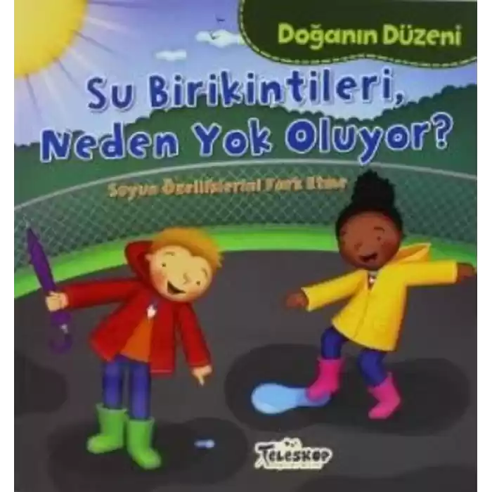 Doğanın Düzeni Su Birikintileri Neden Yok Oluyor?