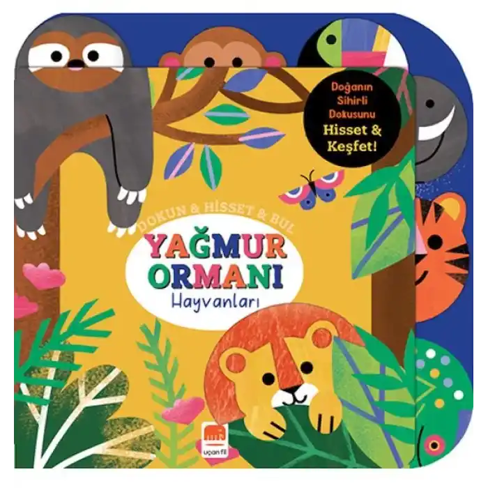 Dokun & Hisset & Bul Yağmur Ormanı Hayvanları