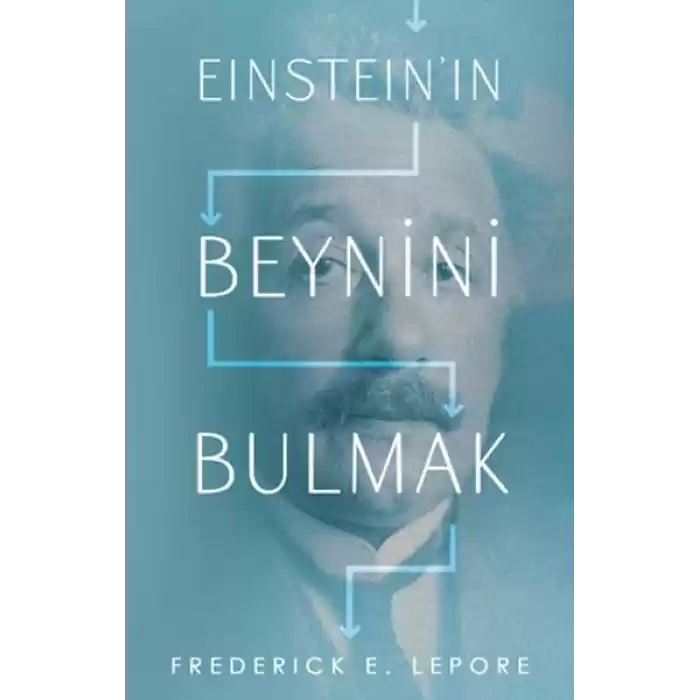 Eınsteın’ın Beynini Bulmak
