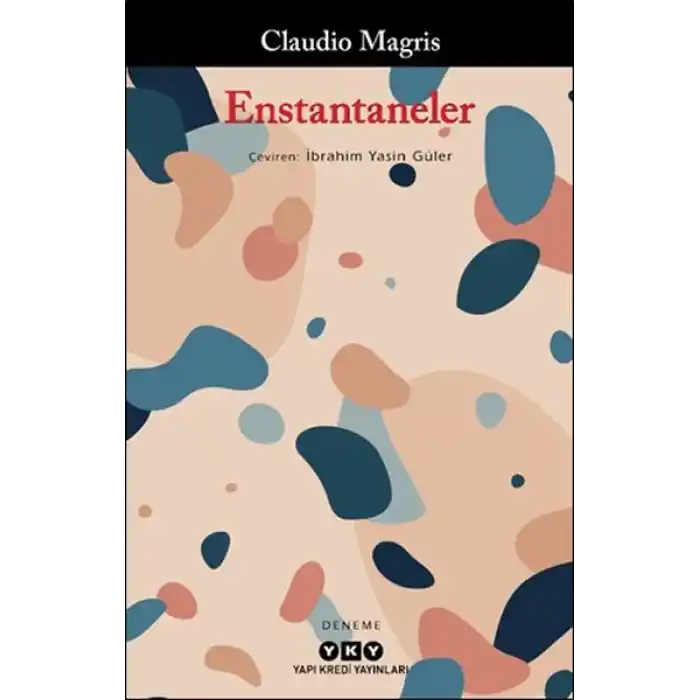 Enstantaneler